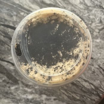 Starbucks - Snoopy™ - Cookie Frappuccino® Blended Beverage - Coffee & Tea Near Me - Palmdale, California Starbucks - Snoopy™ - Cookie Frappuccino® Blended Beverage - Coffee & Tea Near Me - Palmdale, California