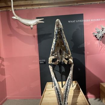 Morrison Natural History Museum - Museums Near Me - Morrison, Colorado Morrison Natural History Museum - Museums Near Me - Morrison, Colorado