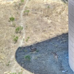 Buck Institute for Age Research - Nature