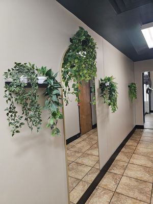 Elephant Thai Cuisine by null