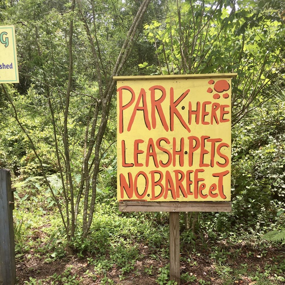 Maggie's Herb Farm - Please obey - Nurseries & Gardening Near Me - Saint Augustine, Florida Maggie's Herb Farm - Please obey - Nurseries & Gardening Near Me - Saint Augustine, Florida