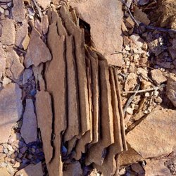 Great geology