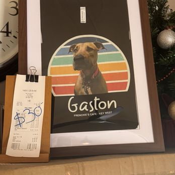 Frenchies Cafe - That's Gaston the owners pup and when on site may greet you at the door. - French Near Me - Key West, Florida Frenchies Cafe - That's Gaston the owners pup and when on site may greet you at the door. - French Near Me - Key West, Florida