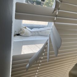 Aloha House - Windows literally falling out. Propped in with towels.