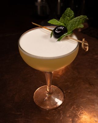 The Blind Rabbit by null