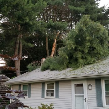 Dave's Tree Service - Tree Services Near Me - Kingston, New York Dave's Tree Service - Tree Services Near Me - Kingston, New York
