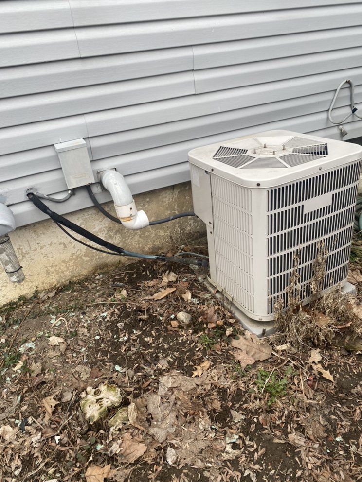 Slide of Daniel Building Services