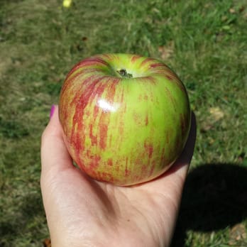 Door Creek Orchard - Fruits & Veggies Near Me - Cottage Grove, Wisconsin Door Creek Orchard - Fruits & Veggies Near Me - Cottage Grove, Wisconsin