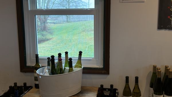 Whitecliff Vineyard & Winery by null