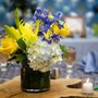 Photo of Jennifer V Events