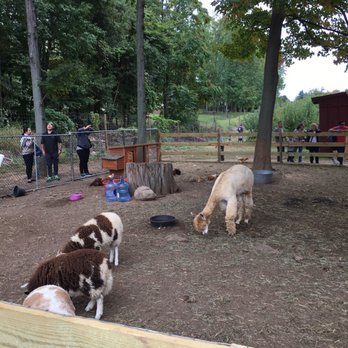 Demarest Farm - Petting zoo - Farmers Market Near Me - Hillsdale, New Jersey
