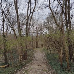 On the trail