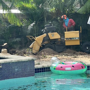 EBM Property Maintenance - Grinding stump - Tree Services Near Me - Fort Lauderdale, Florida EBM Property Maintenance - Grinding stump - Tree Services Near Me - Fort Lauderdale, Florida