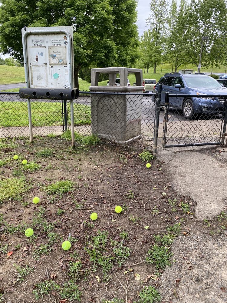 GABRIEL DOG PARK 32 Photos & 27 Reviews SW 45th Ave & SW Vermont St