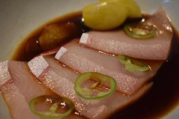 Kenichi Snowmass by null