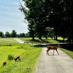 Wooded View Golf Course in Clarksville gift card