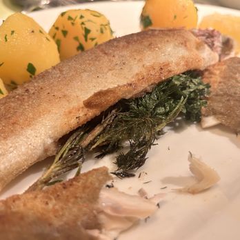 Glacis Beisl - Grilled trout - Austrian Near Me - Vienna, 9
