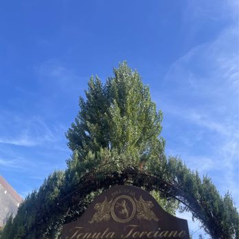 Tenuta Torciano - Wineries Near Me - San Gimignano, SI