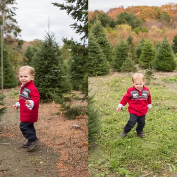 Pachet Brook Farm - photo by: photography by mallory - Nurseries & Gardening Near Me - Tiverton, Rhode Island