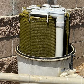 ECOZEN Pool and Spa - What Jerson found when he cleaned my filter. - Pool & Hot Tub Service Near Me