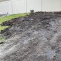 Big Bubbas Excavation