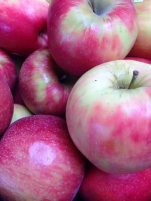 Cherry Sprout Produce by null