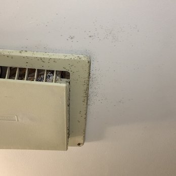 Vantage Vacation Rentals - Moldy exhaust fan in bathroom. - Vacation Rentals Near Me - Ocean City, Maryland