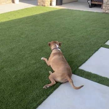 California SynTurf - Artificial Turf Near Me California SynTurf - Artificial Turf Near Me