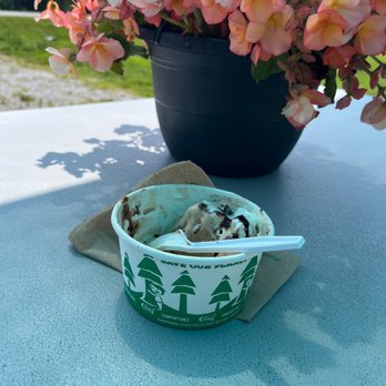 Stone Fox Creamery - Who says you can't have Ice Cream for lunch?! Espresso Oreo enjoyed at nicely shaded outdoor seating. - Ice Cream & Frozen Yogurt Near Me - Searsport, Maine Stone Fox Creamery - Who says you can't have Ice Cream for lunch?! Espresso Oreo enjoyed at nicely shaded outdoor seating. - Ice Cream & Frozen Yogurt Near Me - Searsport, Maine