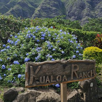Kualoa Ranch - Tours Near Me - Kaneohe, Hawaii Kualoa Ranch - Tours Near Me - Kaneohe, Hawaii