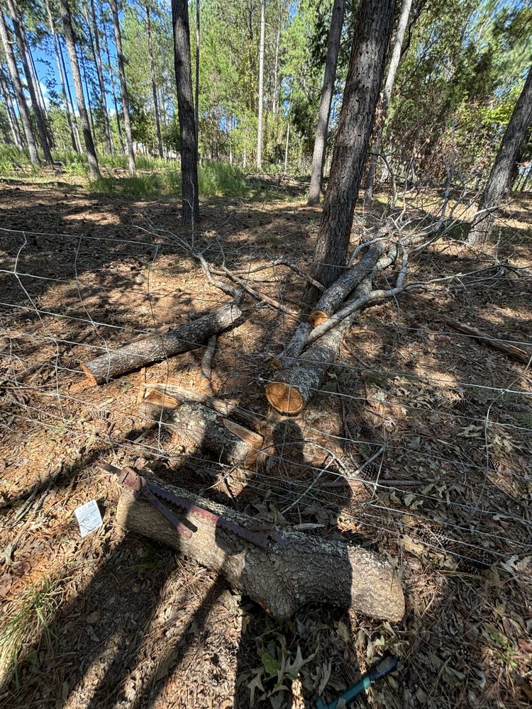 Horizon Landworks - tree service in Great Falls, SC