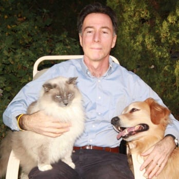 Veterinary Behavior Consultants - Veterinarians Near Me Veterinary Behavior Consultants - Veterinarians Near Me