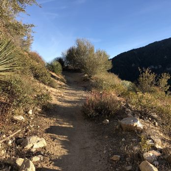 Mount Lawlor Via Red Box - Hiking Near Me - Arcadia, California