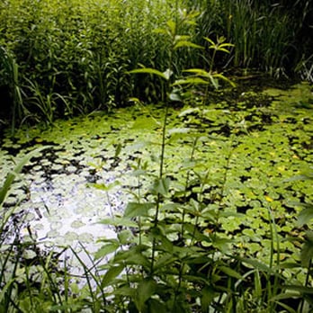 Le Jardin Naturel - Jardin Naturel Paris - Botanical Gardens Near Me - Paris, 75 Le Jardin Naturel - Jardin Naturel Paris - Botanical Gardens Near Me - Paris, 75