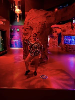 SEA LIFE Orlando Aquarium by null