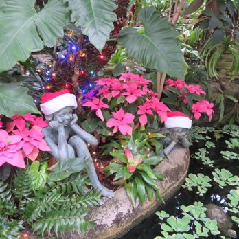 Conservatory Crossing - In the greenhouse - 2019 - Florists Near Me - Indianapolis, Indiana