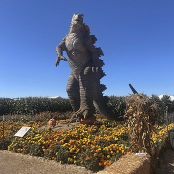 Spina Farms - Farmers Market Near Me - Morgan Hill, California Spina Farms - Farmers Market Near Me - Morgan Hill, California