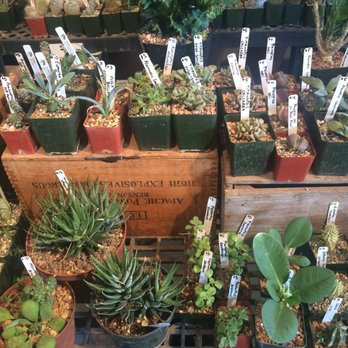 Eco Gro - Cute display - Nurseries & Gardening Near Me - Tucson, Arizona Eco Gro - Cute display - Nurseries & Gardening Near Me - Tucson, Arizona