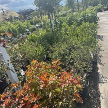 Trees, Shrubs & More - Nurseries & Gardening Near Me - Bellevue, Nebraska