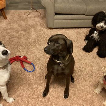 Fun with Fido Dog Training - Pet Training Near Me - Adams, Nebraska Fun with Fido Dog Training - Pet Training Near Me - Adams, Nebraska