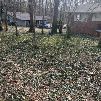 Garner’s landscape - a lot of leaves on the ground - Lawn Services Near Me Garner’s landscape - a lot of leaves on the ground - Lawn Services Near Me