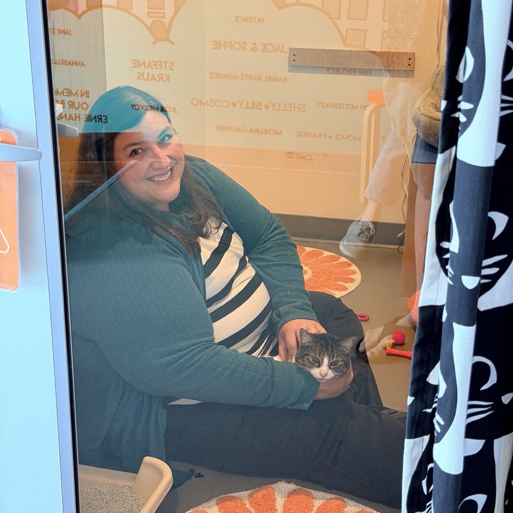 Cat Town - Animal Shelters Near Me - Oakland, California Cat Town - Animal Shelters Near Me - Oakland, California