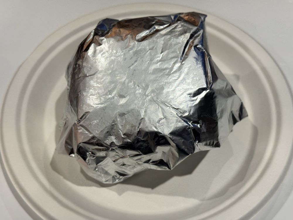 Space Chicken Logo