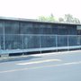 Photo of Tienda Pumas