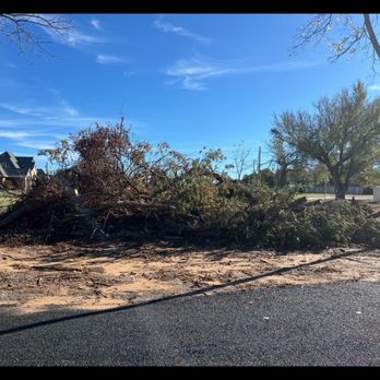 Tree F8 Tree Service - Tree Services Near Me Tree F8 Tree Service - Tree Services Near Me