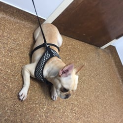 Clear Lake City Veterinary Clinic