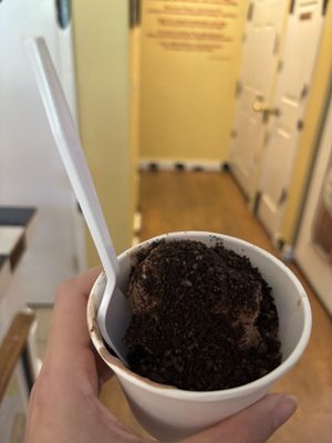 Moo Moo's Creamery - The World’s Best Ice Cream Shop by null