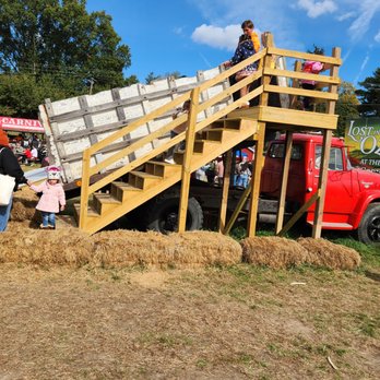 The Maryland Corn Maze - Kids Activities Near Me - Gambrills, Maryland The Maryland Corn Maze - Kids Activities Near Me - Gambrills, Maryland