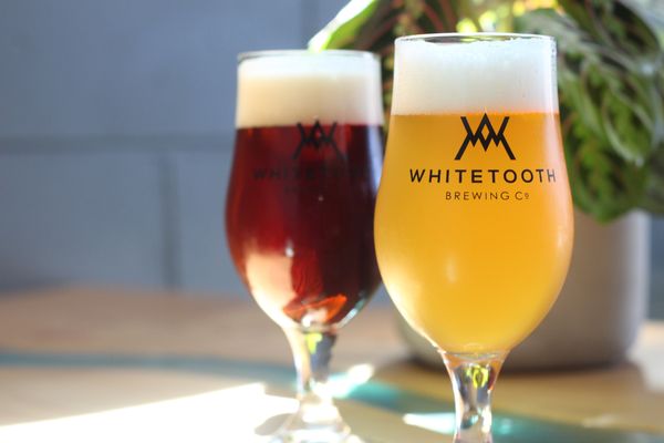 Whitetooth Brewing Company by null