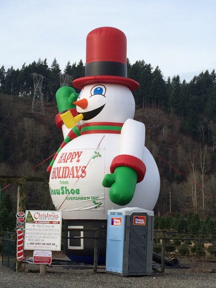 SNOWSHOE EVERGREEN CHOOSE & CUT Updated July 2024 16 Photos & 17